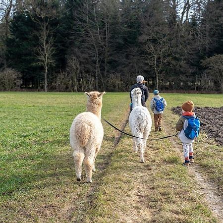 Gruppenunterkunft Mit Billardtisch Und Lamatrekking Meikirch Esterno foto