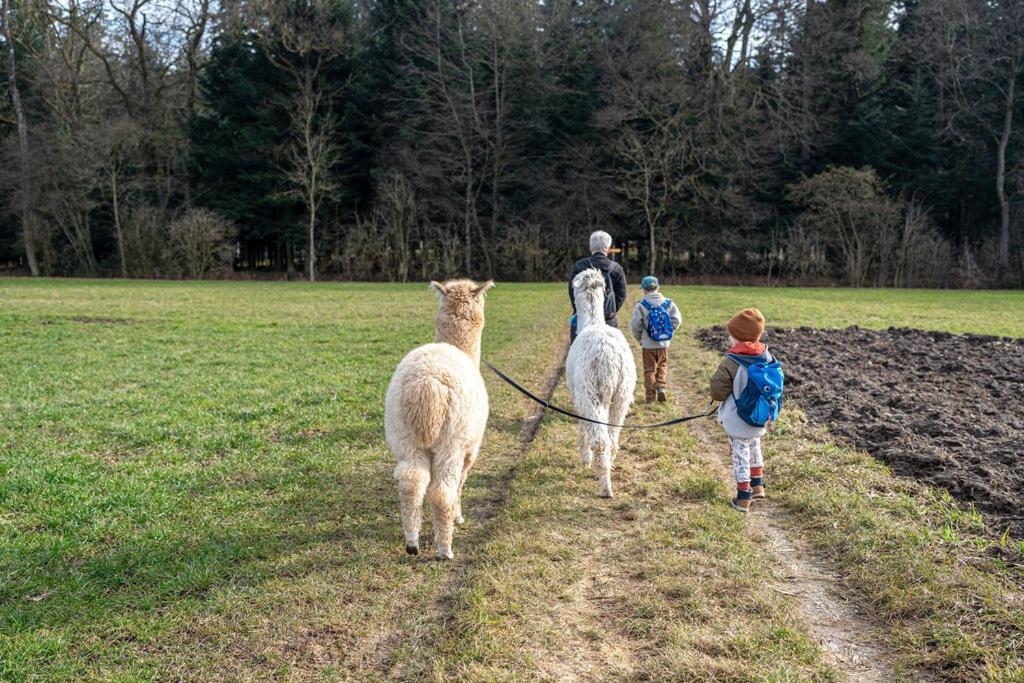 Gruppenunterkunft Mit Billardtisch Und Lamatrekking Meikirch Esterno foto
